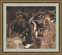 Вышивка ДЖ-024 Взгляд пумы Вышивка ДЖ-024 Взгляд пумы